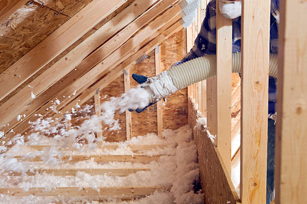 Best Attic Insulation Installation  in Perrysburg, OH